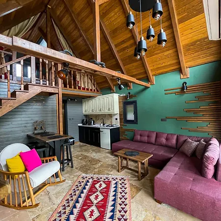 Minna Butik Ev カントリーハウス サパンジャ