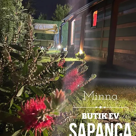 منزل ريفي Minna Butik Ev *