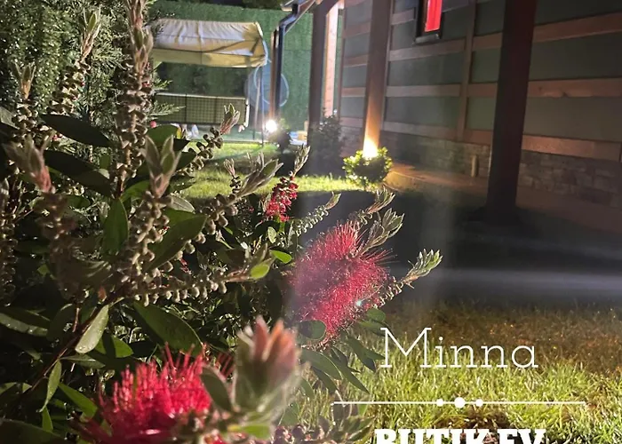 منزل ريفي Minna Butik Ev *